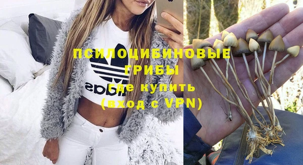 скорость Алексин