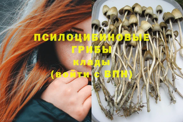 альфа пвп Алексеевка