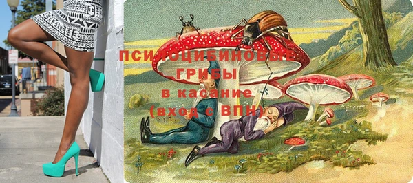 твердый Алзамай